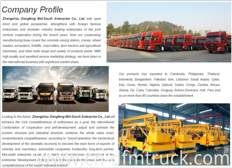 2-Company Profile-Dongfeng